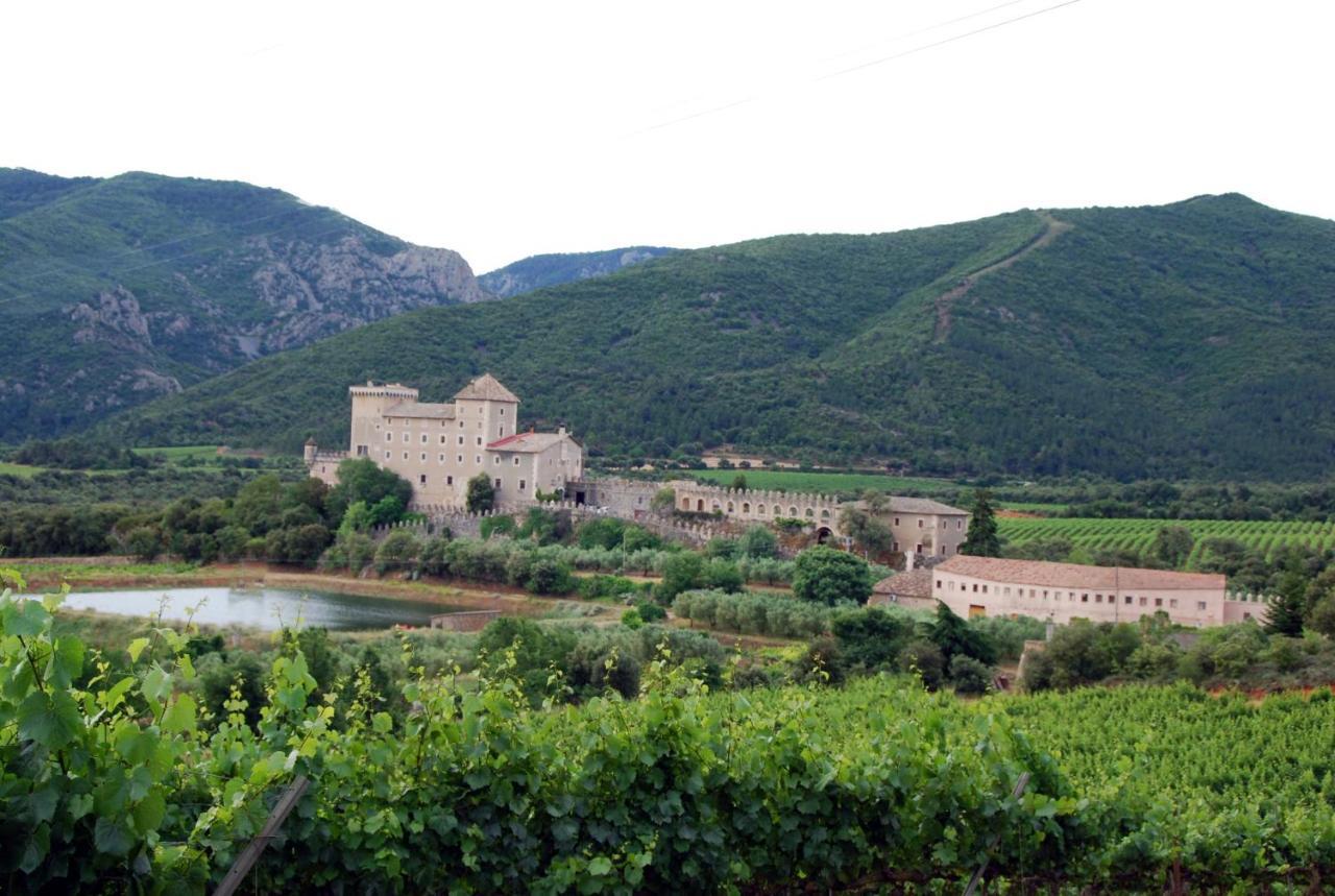 Castell De Riudabella Apartamento Vimbodi I Poblet Exterior foto