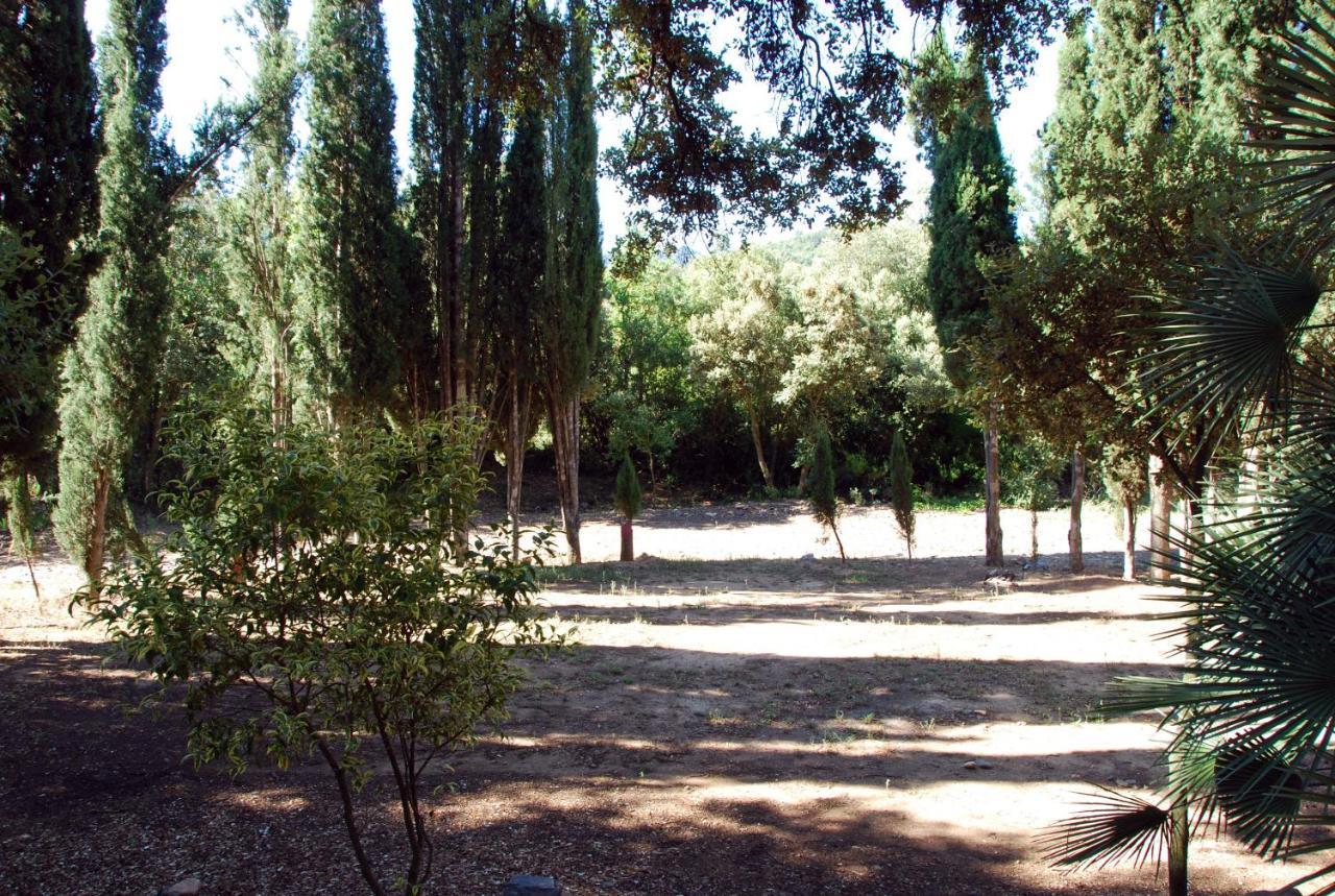 Castell De Riudabella Apartamento Vimbodi I Poblet Exterior foto