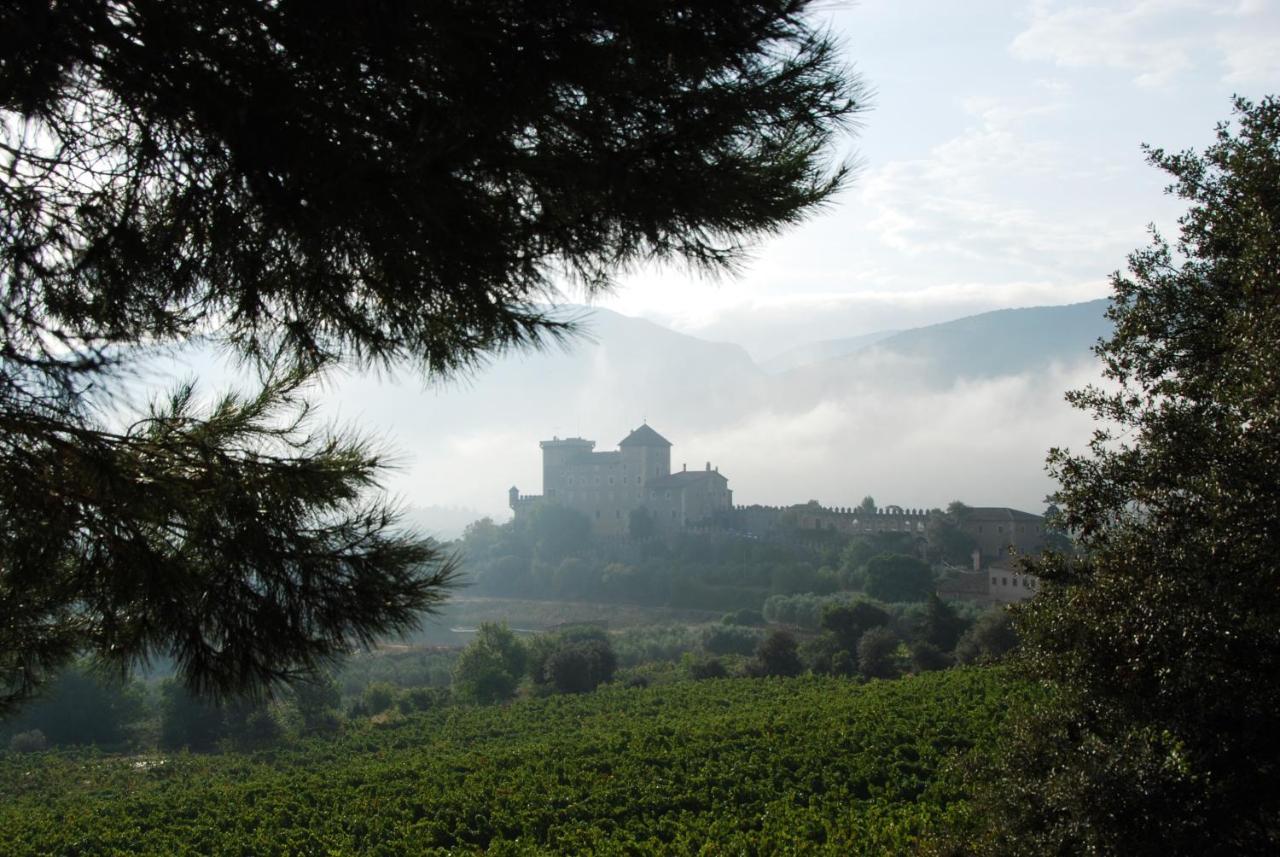Castell De Riudabella Apartamento Vimbodi I Poblet Exterior foto