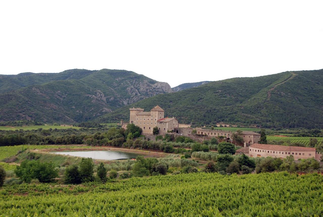 Castell De Riudabella Apartamento Vimbodi I Poblet Exterior foto