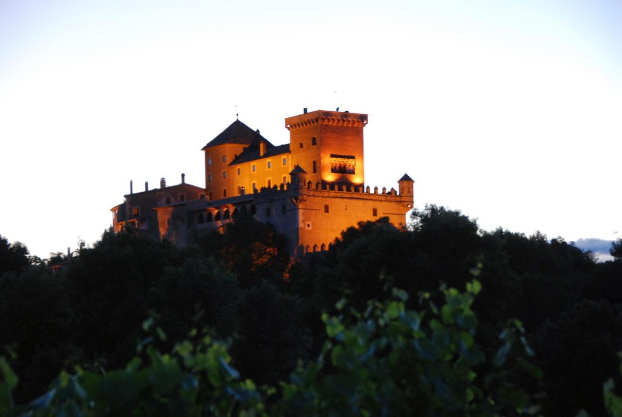 Castell De Riudabella Apartamento Vimbodi I Poblet Exterior foto