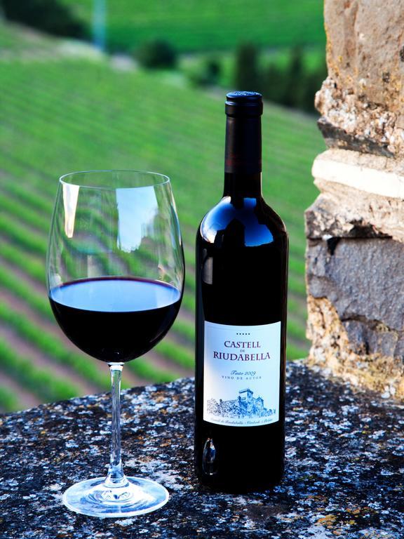 Castell De Riudabella Apartamento Vimbodi I Poblet Exterior foto