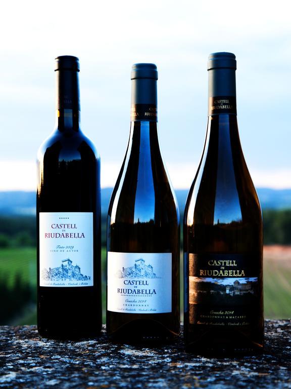 Castell De Riudabella Apartamento Vimbodi I Poblet Exterior foto