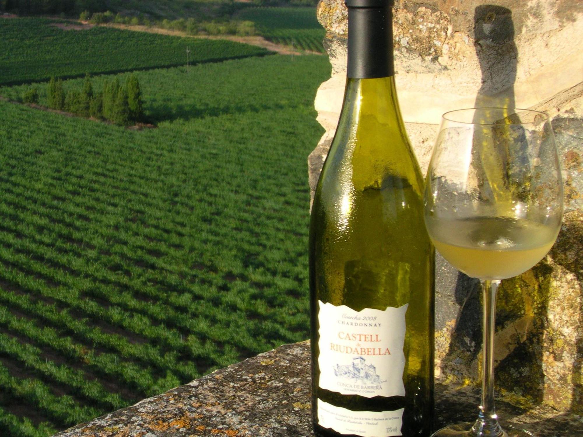 Castell De Riudabella Apartamento Vimbodi I Poblet Exterior foto