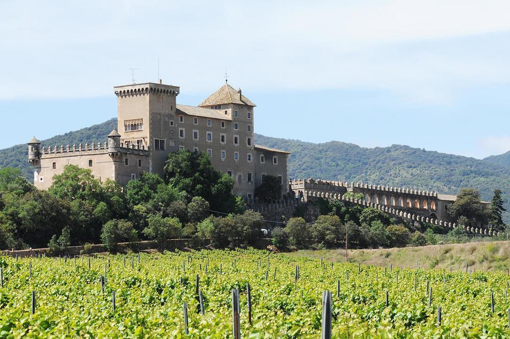 Castell De Riudabella Apartamento Vimbodi I Poblet Exterior foto