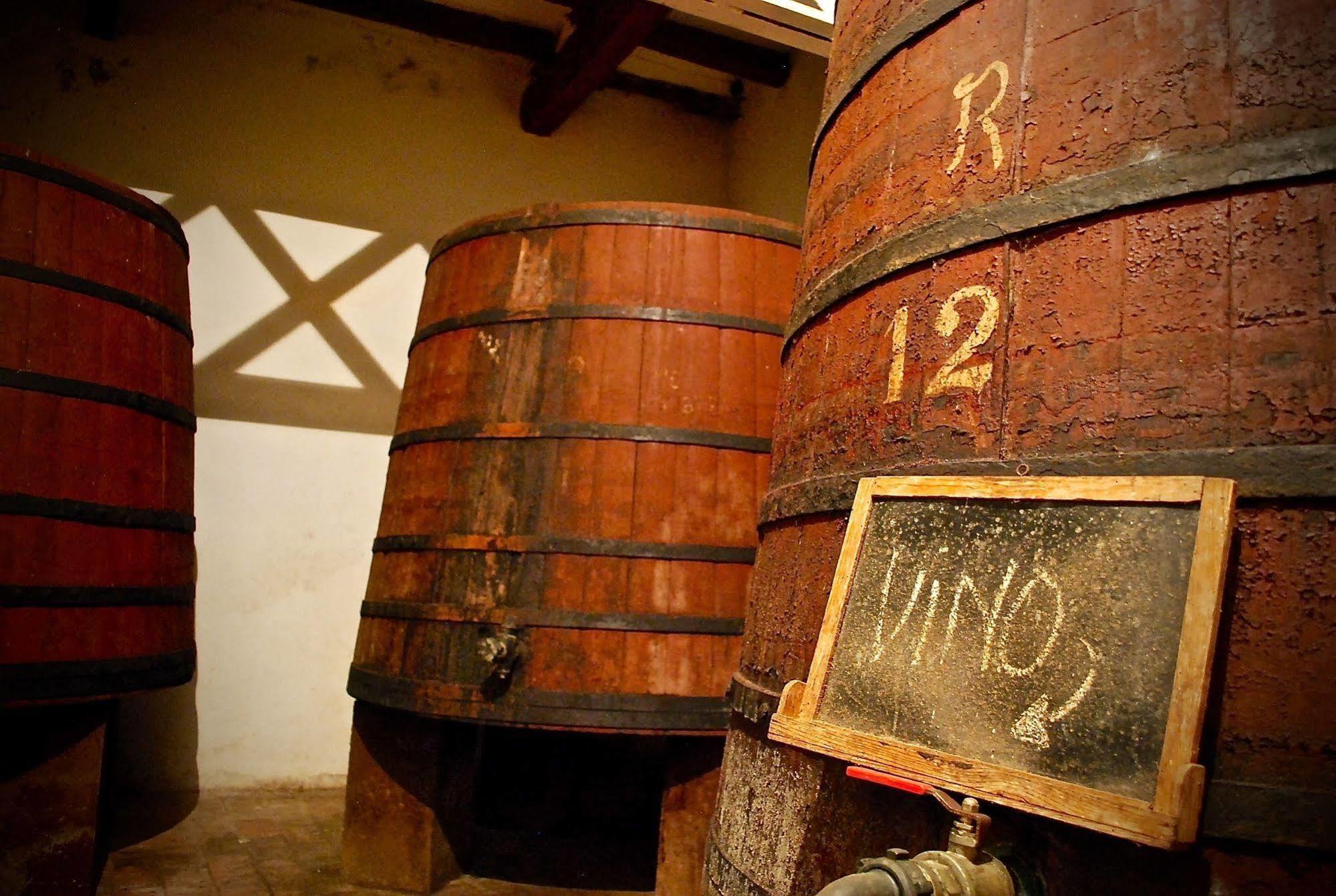 Castell De Riudabella Apartamento Vimbodi I Poblet Exterior foto
